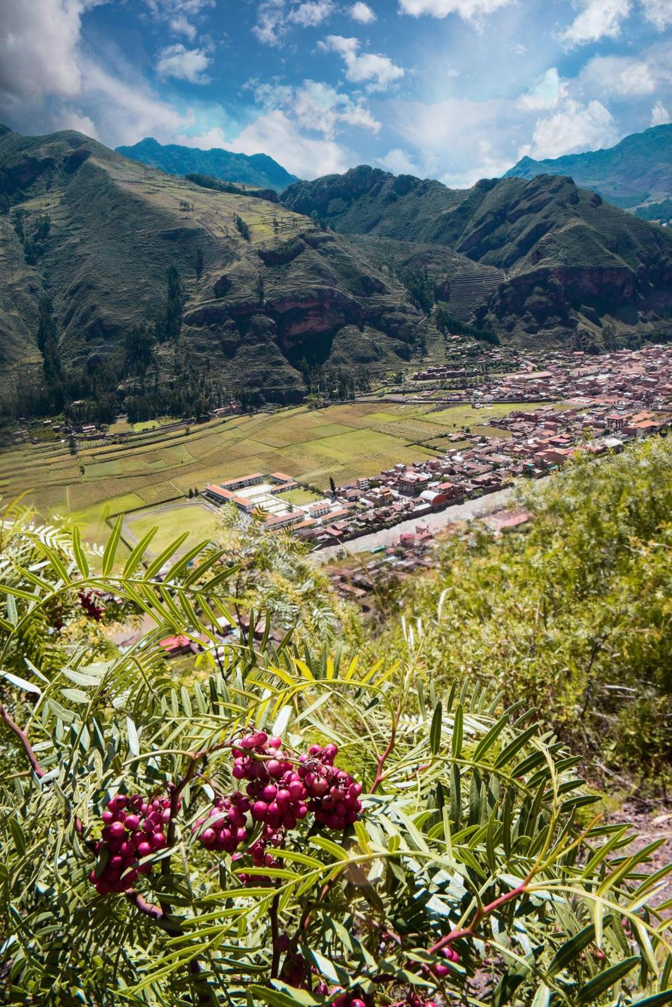 Rumi Lodge Pisac Εξωτερικό φωτογραφία